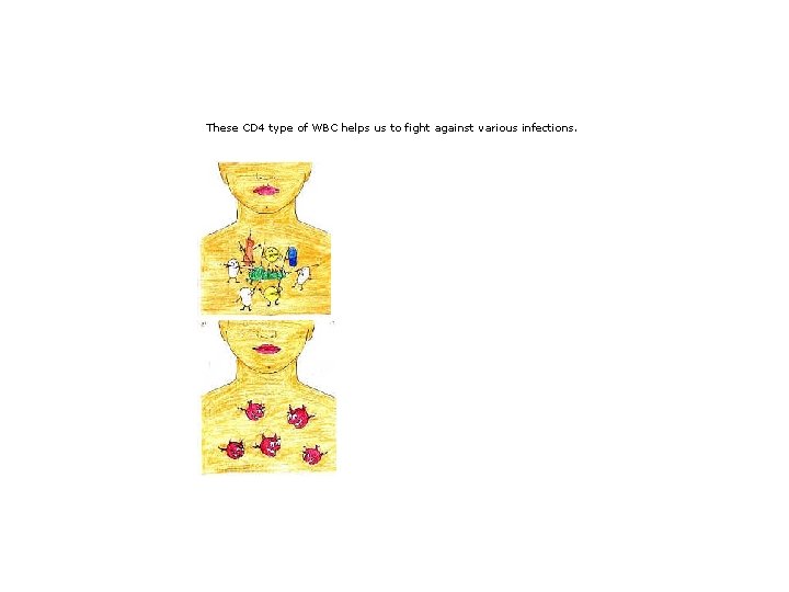 These CD 4 type of WBC helps us to fight against various infections. 