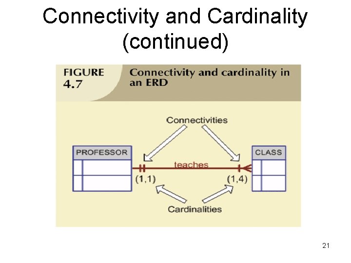 Connectivity and Cardinality (continued) 21 Connectivity and Cardinality (continued) 21