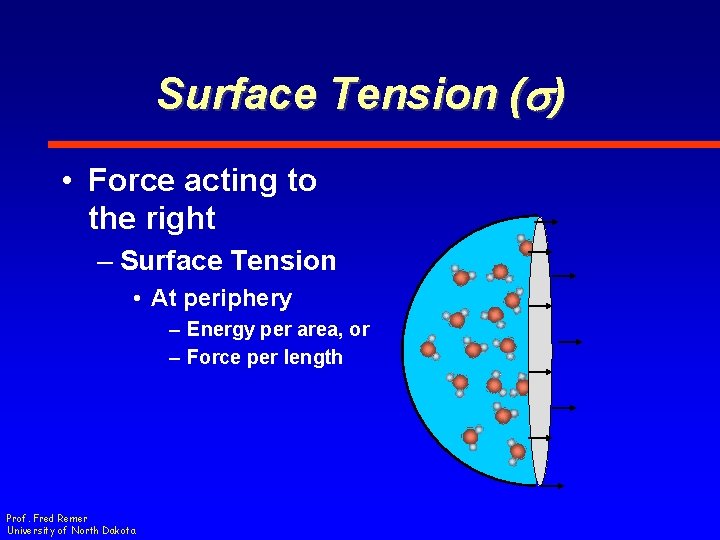 Surface Tension (s) • Force acting to the right – Surface Tension • At