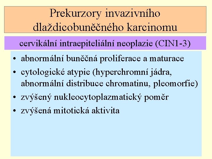 Prekurzory invazivního dlaždicobuněčného karcinomu cervikální intraepiteliální neoplazie (CIN 1 -3) • abnormální buněčná proliferace