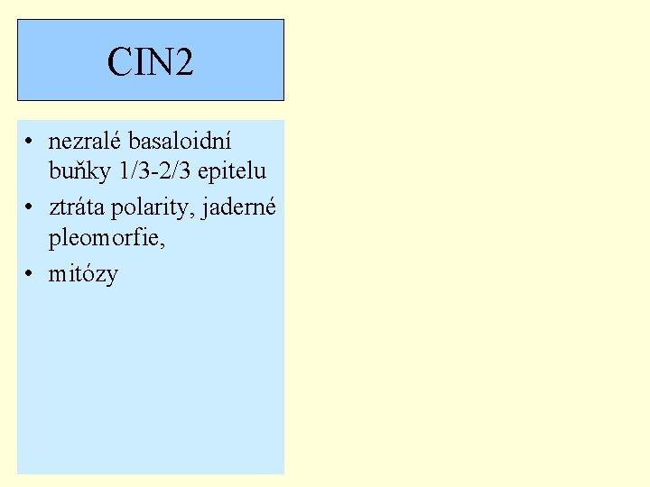 CIN 2 • nezralé basaloidní buňky 1/3 -2/3 epitelu • ztráta polarity, jaderné pleomorfie,