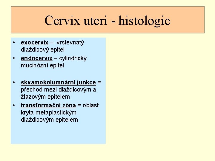 Cervix uteri - histologie • exocervix – vrstevnatý dlaždicový epitel • endocervix – cylindrický