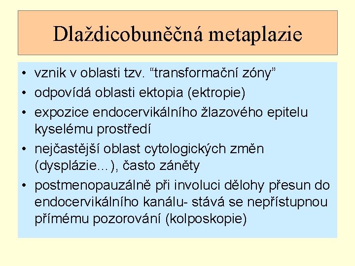 Dlaždicobuněčná metaplazie • vznik v oblasti tzv. “transformační zóny” • odpovídá oblasti ektopia (ektropie)