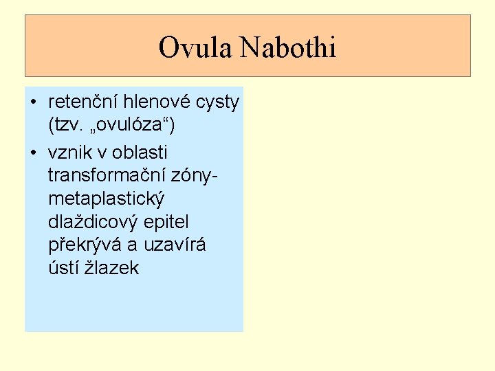 Ovula Nabothi • retenční hlenové cysty (tzv. „ovulóza“) • vznik v oblasti transformační zónymetaplastický