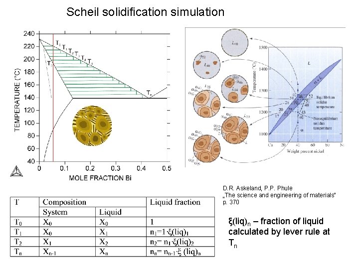 Scheil solidification simulation D. R. Askeland, P. P. Phule „The science and engineering of