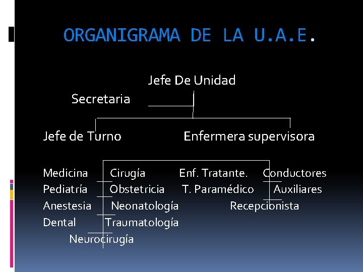 ORGANIGRAMA DE LA U. A. E. Jefe De Unidad Secretaria Jefe de Turno Enfermera