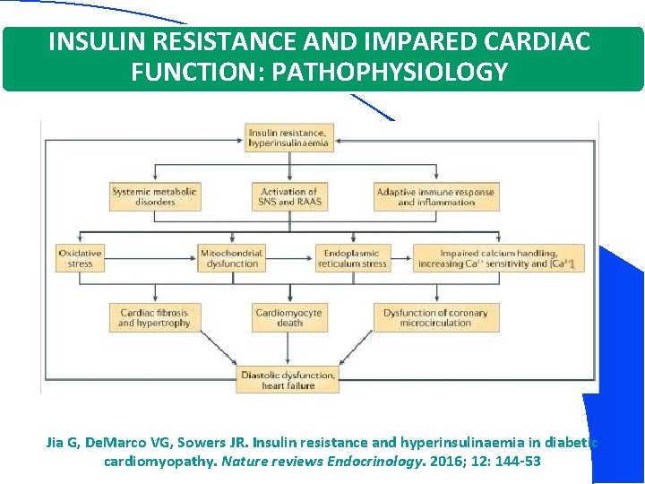 INSULIN RESISTANCE AND IMPARED CARDIAC FUNCTION: PATHOPHYSIOLOGY Jia G, De. Marco VG, Sowers JR.