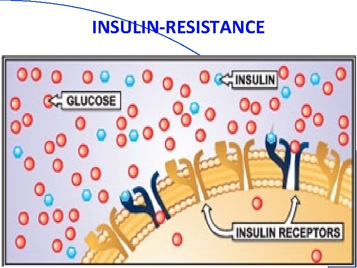 INSULIN-RESISTANCE 