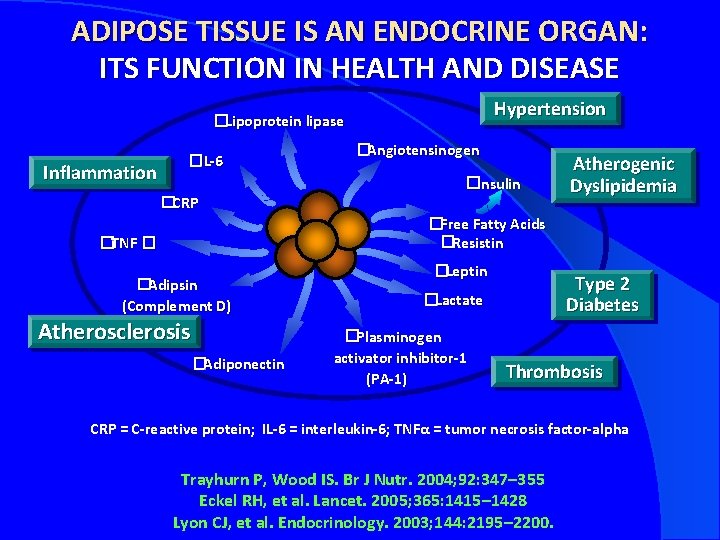 ADIPOSE TISSUE IS AN ENDOCRINE ORGAN: ITS FUNCTION IN HEALTH AND DISEASE Hypertension �