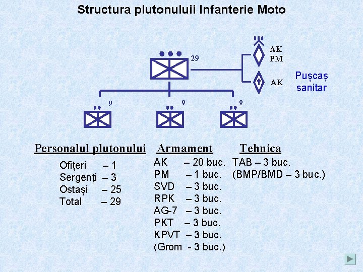 Structura plutonuluii Infanterie Moto AK PМ 29 AK 9 9 Personalul plutonului Armament Ofițeri