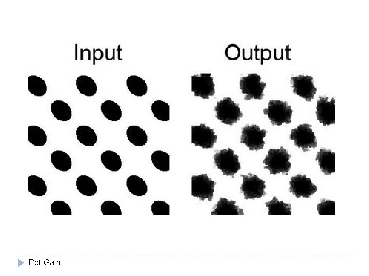 Dot Gain 