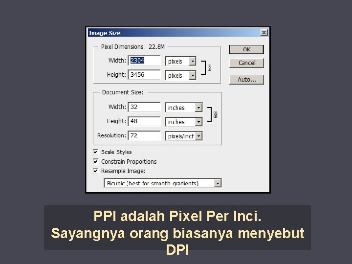 PPI adalah Pixel Per Inci. Sayangnya orang biasanya menyebut DPI 