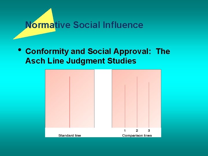 Normative Social Influence • Conformity and Social Approval: Asch Line Judgment Studies The 