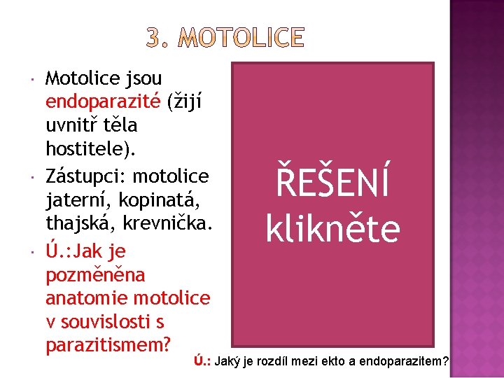  Motolice jsou endoparazité (žijí uvnitř těla hostitele). Zástupci: motolice jaterní, kopinatá, thajská, krevnička.