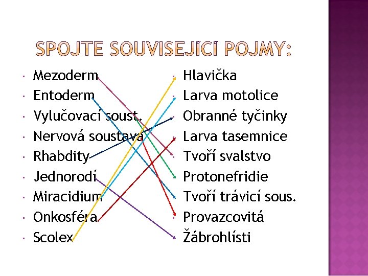  Mezoderm Entoderm Vylučovací soust. Nervová soustava Rhabdity Jednorodí Miracidium Onkosféra Scolex Hlavička Larva