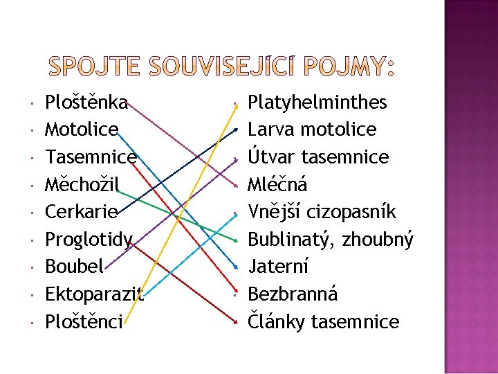 Ploštěnka Motolice Tasemnice Měchožil Cerkarie Proglotidy Boubel Ektoparazit Ploštěnci Platyhelminthes Larva motolice Útvar
