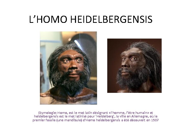 L’HOMO HEIDELBERGENSIS Etymologie: Homo, est le mot latin désignant «l'homme, l’être humain» et heidelbergensis