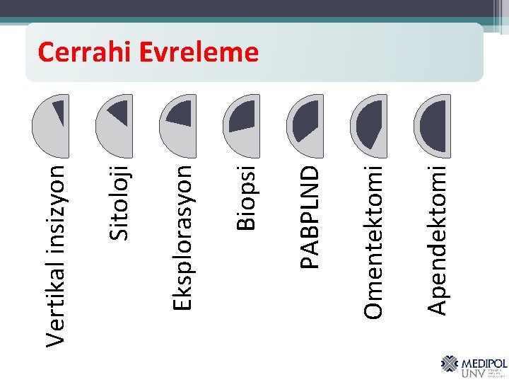 Apendektomi Omentektomi PABPLND Biopsi Eksplorasyon Sitoloji Vertikal insizyon Cerrahi Evreleme 