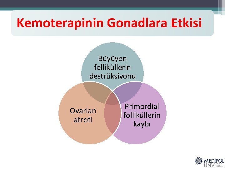 Kemoterapinin Gonadlara Etkisi Büyüyen folliküllerin destrüksiyonu Ovarian atrofi Primordial folliküllerin kaybı 