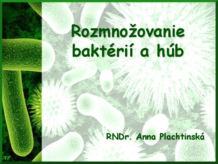 Rozmnožovanie baktérií a húb RNDr. Anna Plachtinská 