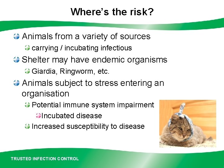 Where’s the risk? Animals from a variety of sources carrying / incubating infectious Shelter