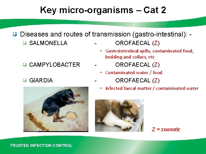 Key micro-organisms – Cat 2 Diseases and routes of transmission (gastro-intestinal): SALMONELLA - OROFAECAL