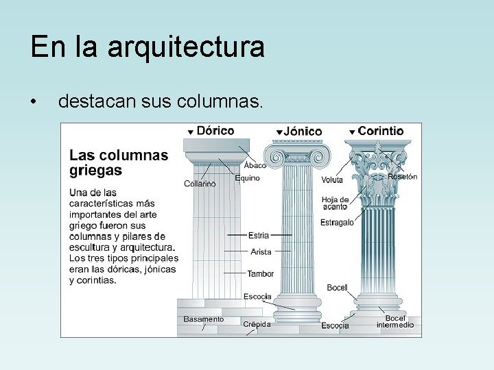 En la arquitectura • destacan sus columnas. 