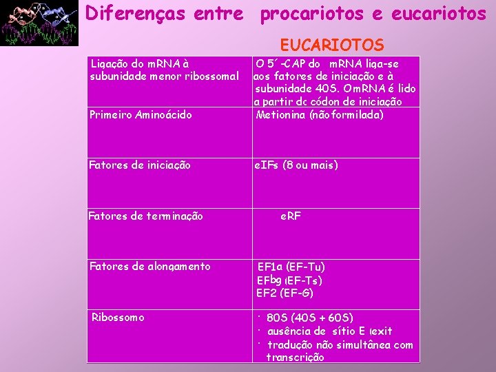 Diferenças entre procariotos e eucariotos EUCARIOTOS Ligação do m. RNA à subunidade menor ribossomal