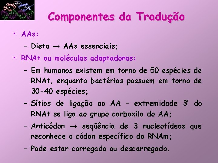 Componentes da Tradução • AAs: – Dieta → AAs essenciais; • RNAt ou moléculas