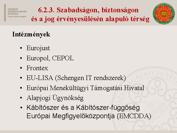 6. 2. 3. Szabadságon, biztonságon és a jog érvényesülésén alapuló térség Intézmények • •