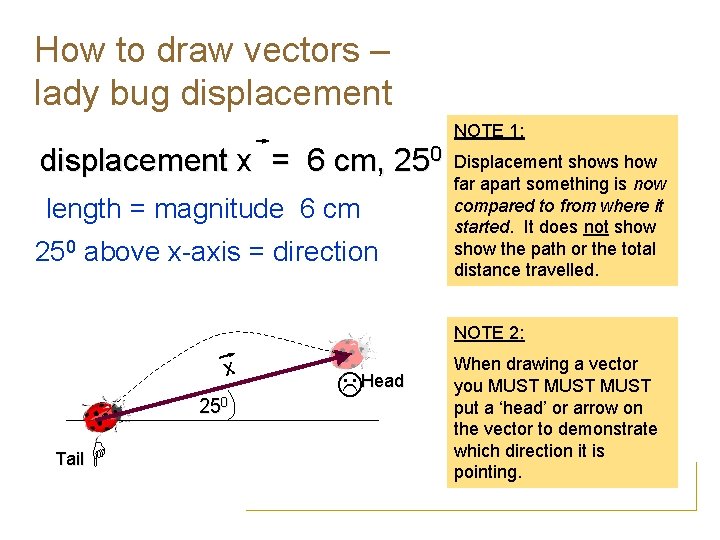 How to draw vectors – lady bug displacement NOTE 1: displacement x = 6