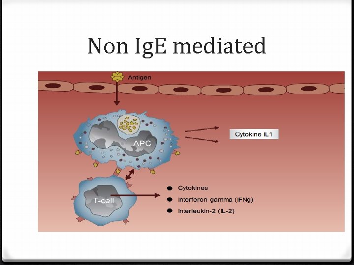 Non Ig. E mediated 