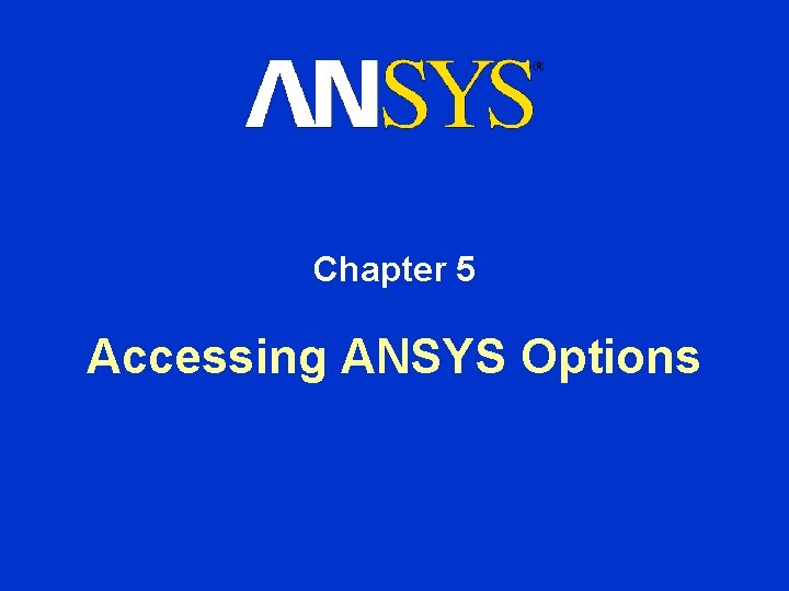 Chapter 5 Accessing ANSYS Options 