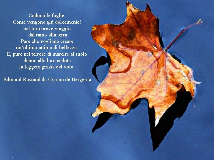 Cadono le foglie. Come vengono giù dolcemente! nel loro breve viaggio dal ramo alla