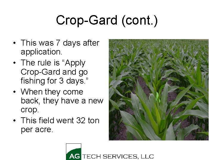 Crop-Gard (cont. ) • This was 7 days after application. • The rule is