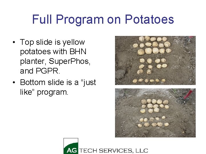 Full Program on Potatoes • Top slide is yellow potatoes with BHN planter, Super.