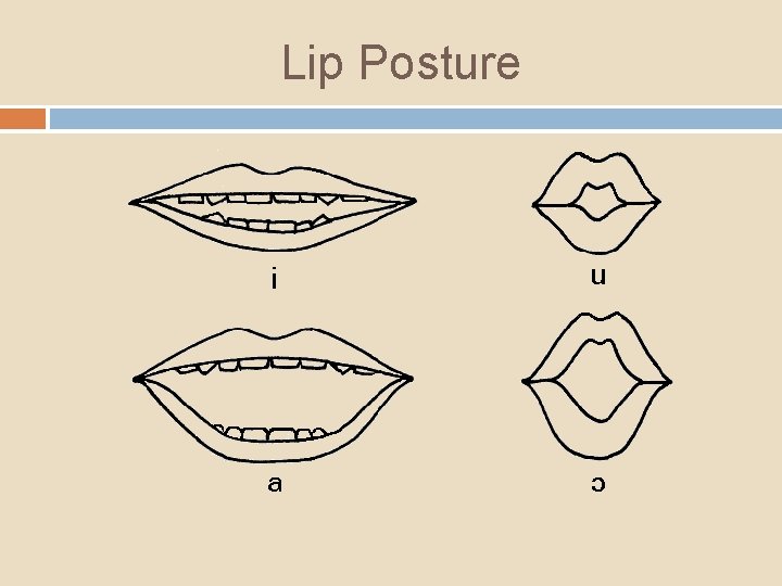 Lip Posture 