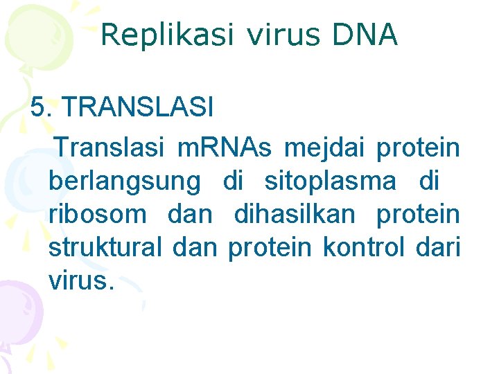 Replikasi virus DNA 5. TRANSLASI Translasi m. RNAs mejdai protein berlangsung di sitoplasma di