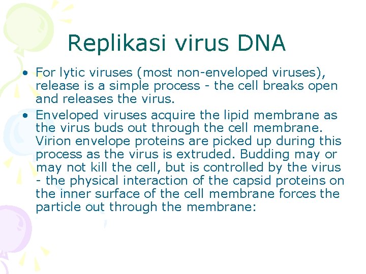 Replikasi virus DNA • For lytic viruses (most non-enveloped viruses), release is a simple