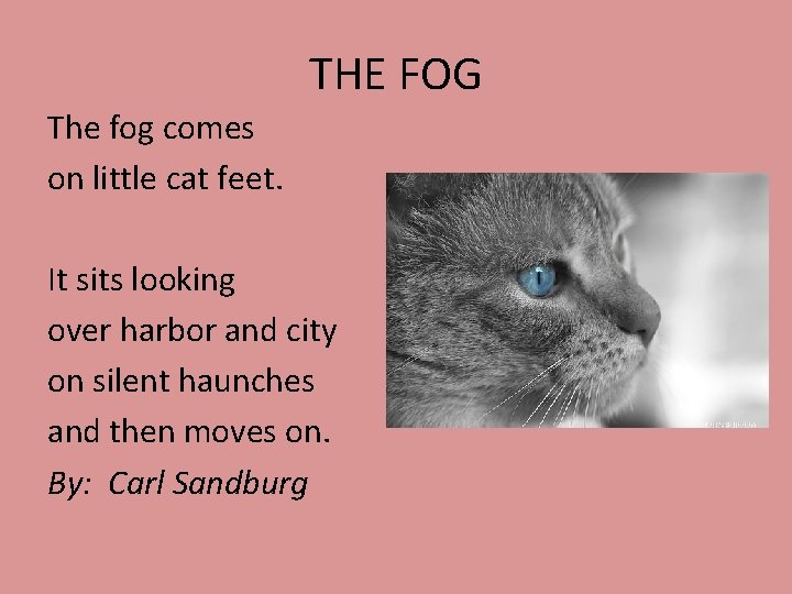 THE FOG The fog comes on little cat feet. It sits looking over harbor