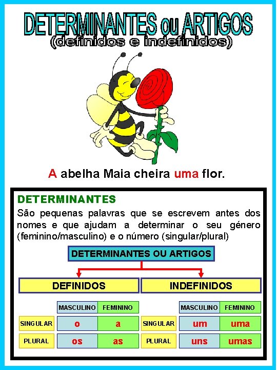 A abelha Maia cheira uma flor. DETERMINANTES São pequenas palavras que se escrevem antes