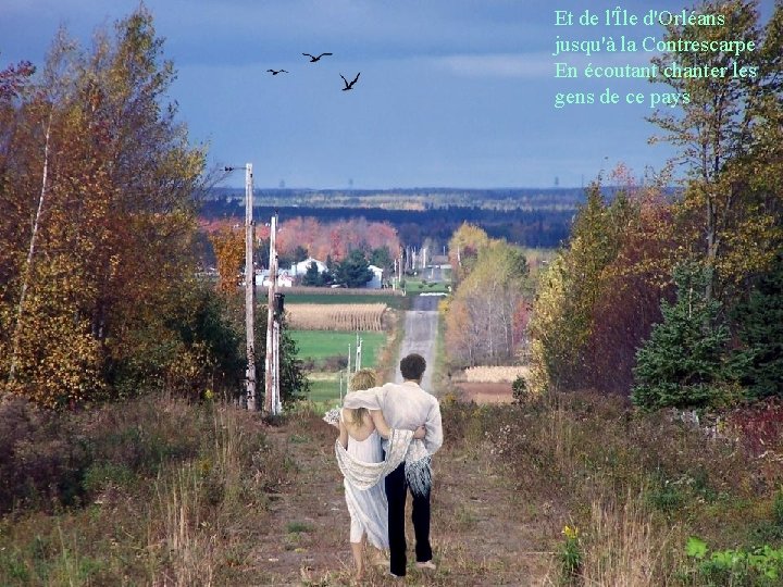 Et de l'Île d'Orléans jusqu'à la Contrescarpe En écoutant chanter les gens de ce