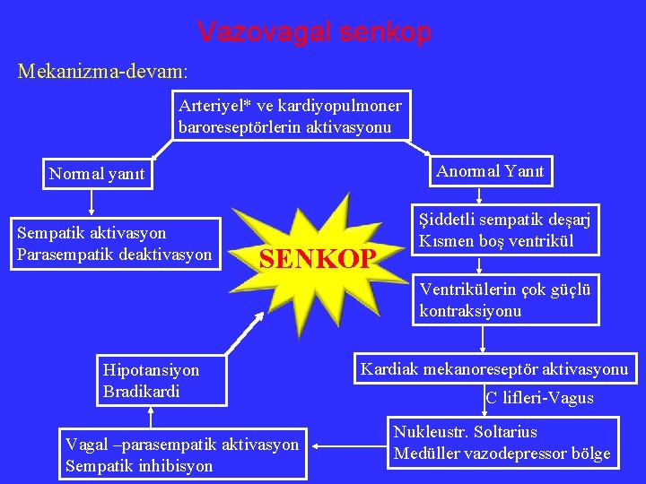 Vazovagal senkop Mekanizma-devam: Arteriyel* ve kardiyopulmoner baroreseptörlerin aktivasyonu Anormal Yanıt Normal yanıt Sempatik aktivasyon
