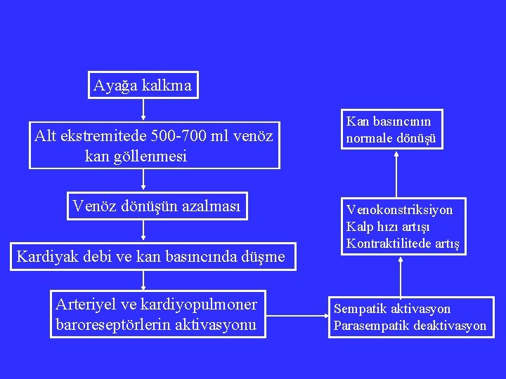 Ayağa kalkma Alt ekstremitede 500 -700 ml venöz kan göllenmesi Venöz dönüşün azalması Kardiyak