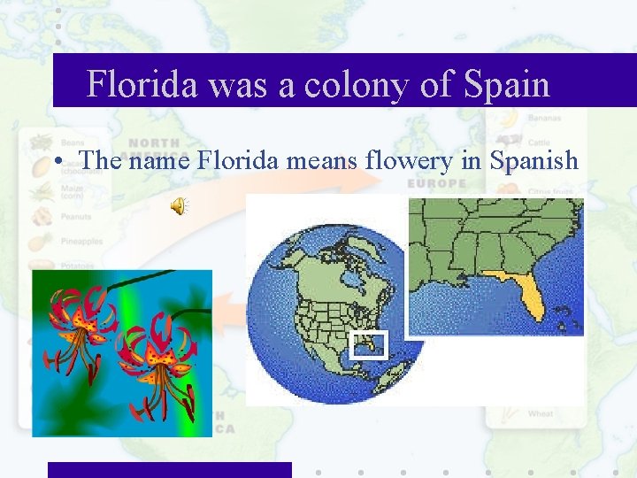 Florida was a colony of Spain • The name Florida means flowery in Spanish