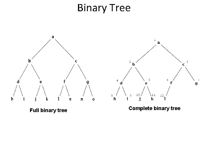 Binary Tree Full binary tree Complete binary tree 