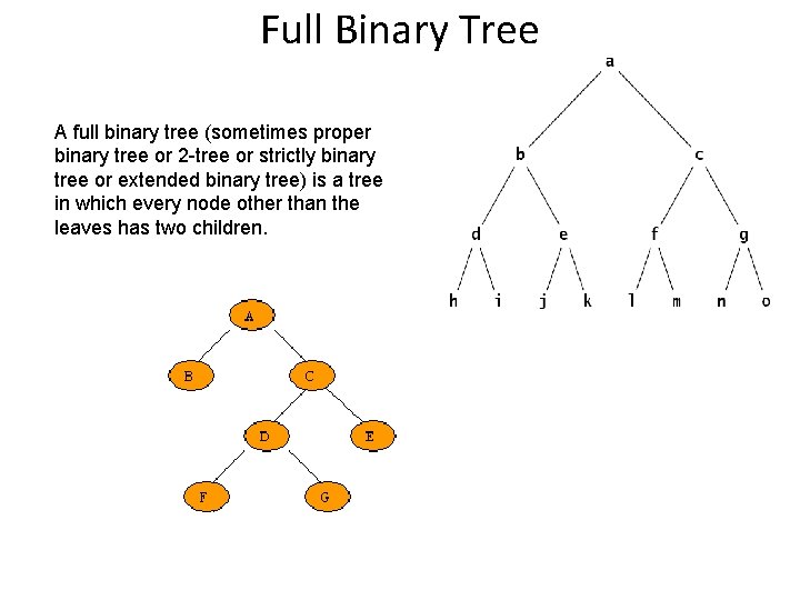 Full Binary Tree A full binary tree (sometimes proper binary tree or 2 -tree