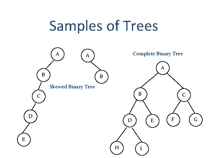 Samples of Trees A Complete Binary Tree A A B B Skewed Binary Tree