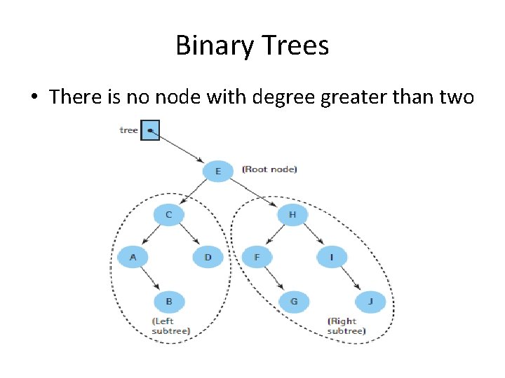 Binary Trees • There is no node with degree greater than two 