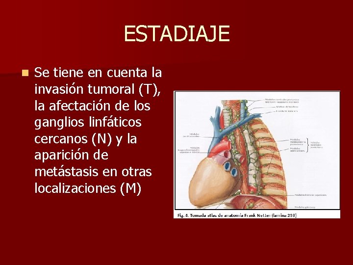 ESTADIAJE n Se tiene en cuenta la invasión tumoral (T), la afectación de los